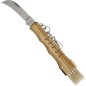 Preview: Mercury mushroom knife with olive wood handle